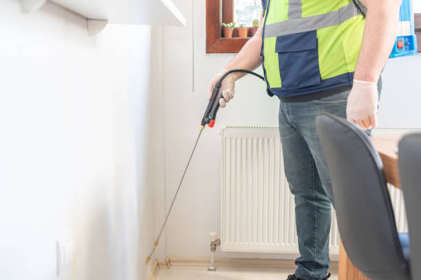 Best Termite Control Services  in South Tucson, AZ